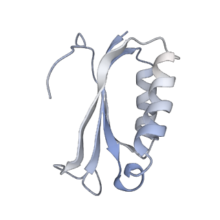 21634_6wdf_K_v2-0
Cryo-EM of elongating ribosome with EF-Tu*GTP elucidates tRNA proofreading (Cognate Structure VI-A)