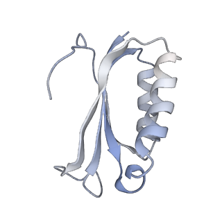 21634_6wdf_K_v2-2
Cryo-EM of elongating ribosome with EF-Tu*GTP elucidates tRNA proofreading (Cognate Structure VI-A)