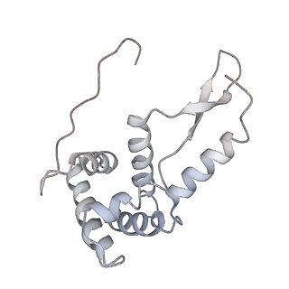 21634_6wdf_L_v1-2
Cryo-EM of elongating ribosome with EF-Tu*GTP elucidates tRNA proofreading (Cognate Structure VI-A)