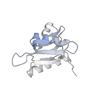 21634_6wdf_M_v1-2
Cryo-EM of elongating ribosome with EF-Tu*GTP elucidates tRNA proofreading (Cognate Structure VI-A)