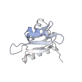 21634_6wdf_M_v2-2
Cryo-EM of elongating ribosome with EF-Tu*GTP elucidates tRNA proofreading (Cognate Structure VI-A)