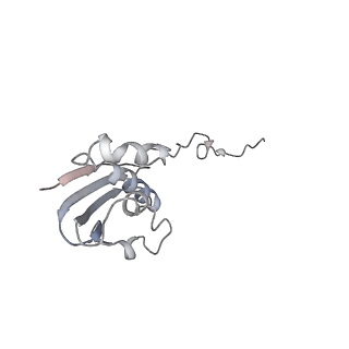 21634_6wdf_N_v1-2
Cryo-EM of elongating ribosome with EF-Tu*GTP elucidates tRNA proofreading (Cognate Structure VI-A)