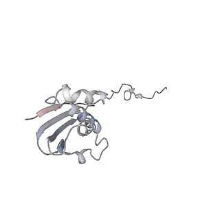 21634_6wdf_N_v2-2
Cryo-EM of elongating ribosome with EF-Tu*GTP elucidates tRNA proofreading (Cognate Structure VI-A)