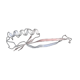 21634_6wdf_O_v2-2
Cryo-EM of elongating ribosome with EF-Tu*GTP elucidates tRNA proofreading (Cognate Structure VI-A)