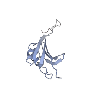 21634_6wdf_P_v1-2
Cryo-EM of elongating ribosome with EF-Tu*GTP elucidates tRNA proofreading (Cognate Structure VI-A)