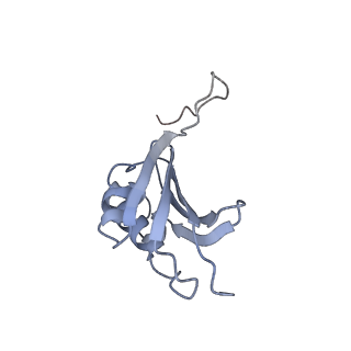 21634_6wdf_P_v2-2
Cryo-EM of elongating ribosome with EF-Tu*GTP elucidates tRNA proofreading (Cognate Structure VI-A)