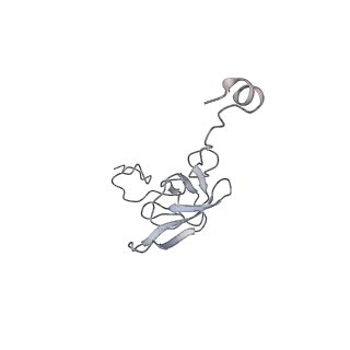 21634_6wdf_Q_v1-2
Cryo-EM of elongating ribosome with EF-Tu*GTP elucidates tRNA proofreading (Cognate Structure VI-A)