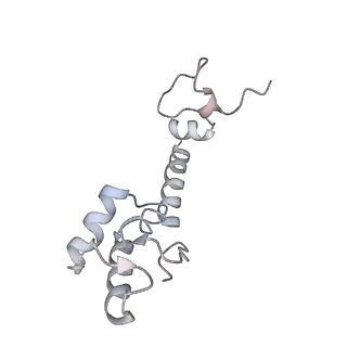 21634_6wdf_R_v1-2
Cryo-EM of elongating ribosome with EF-Tu*GTP elucidates tRNA proofreading (Cognate Structure VI-A)