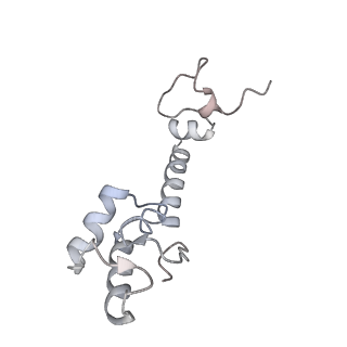 21634_6wdf_R_v2-2
Cryo-EM of elongating ribosome with EF-Tu*GTP elucidates tRNA proofreading (Cognate Structure VI-A)