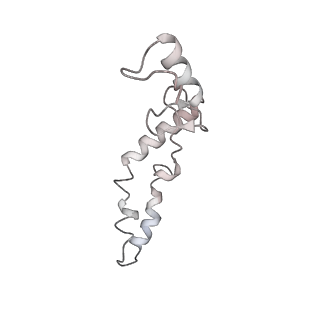 21634_6wdf_S_v1-2
Cryo-EM of elongating ribosome with EF-Tu*GTP elucidates tRNA proofreading (Cognate Structure VI-A)