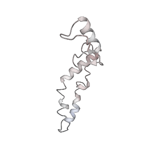 21634_6wdf_S_v2-2
Cryo-EM of elongating ribosome with EF-Tu*GTP elucidates tRNA proofreading (Cognate Structure VI-A)