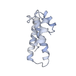21634_6wdf_T_v1-2
Cryo-EM of elongating ribosome with EF-Tu*GTP elucidates tRNA proofreading (Cognate Structure VI-A)
