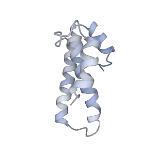 21634_6wdf_T_v2-2
Cryo-EM of elongating ribosome with EF-Tu*GTP elucidates tRNA proofreading (Cognate Structure VI-A)