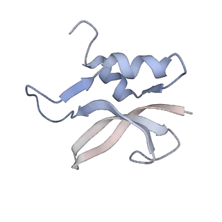 21634_6wdf_U_v1-2
Cryo-EM of elongating ribosome with EF-Tu*GTP elucidates tRNA proofreading (Cognate Structure VI-A)