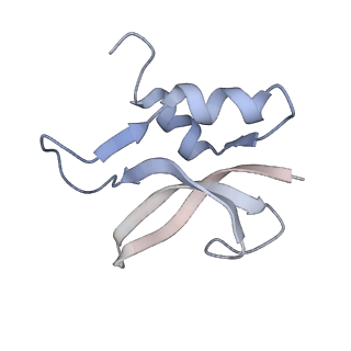 21634_6wdf_U_v2-2
Cryo-EM of elongating ribosome with EF-Tu*GTP elucidates tRNA proofreading (Cognate Structure VI-A)