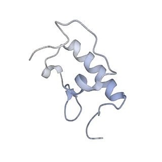 21634_6wdf_W_v1-2
Cryo-EM of elongating ribosome with EF-Tu*GTP elucidates tRNA proofreading (Cognate Structure VI-A)