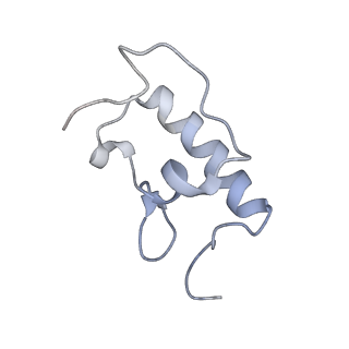 21634_6wdf_W_v2-2
Cryo-EM of elongating ribosome with EF-Tu*GTP elucidates tRNA proofreading (Cognate Structure VI-A)