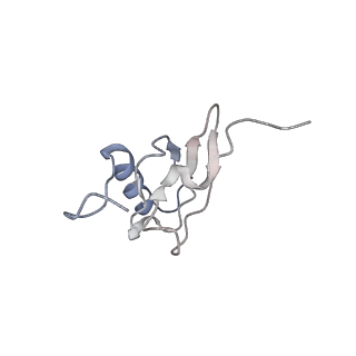 21634_6wdf_X_v1-2
Cryo-EM of elongating ribosome with EF-Tu*GTP elucidates tRNA proofreading (Cognate Structure VI-A)
