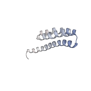 21634_6wdf_Y_v1-2
Cryo-EM of elongating ribosome with EF-Tu*GTP elucidates tRNA proofreading (Cognate Structure VI-A)