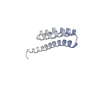21634_6wdf_Y_v2-0
Cryo-EM of elongating ribosome with EF-Tu*GTP elucidates tRNA proofreading (Cognate Structure VI-A)