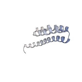 21634_6wdf_Y_v2-2
Cryo-EM of elongating ribosome with EF-Tu*GTP elucidates tRNA proofreading (Cognate Structure VI-A)