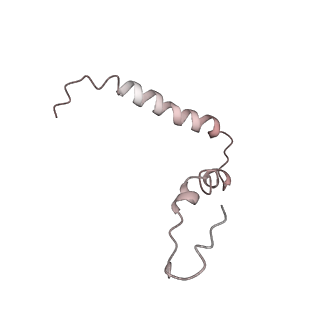 21634_6wdf_Z_v1-2
Cryo-EM of elongating ribosome with EF-Tu*GTP elucidates tRNA proofreading (Cognate Structure VI-A)