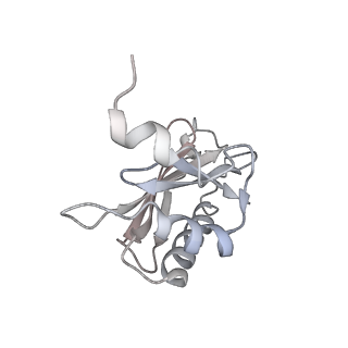 21634_6wdf_a_v1-2
Cryo-EM of elongating ribosome with EF-Tu*GTP elucidates tRNA proofreading (Cognate Structure VI-A)