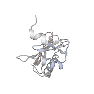 21634_6wdf_a_v2-0
Cryo-EM of elongating ribosome with EF-Tu*GTP elucidates tRNA proofreading (Cognate Structure VI-A)