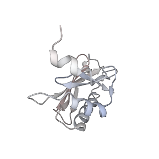 21634_6wdf_a_v2-2
Cryo-EM of elongating ribosome with EF-Tu*GTP elucidates tRNA proofreading (Cognate Structure VI-A)