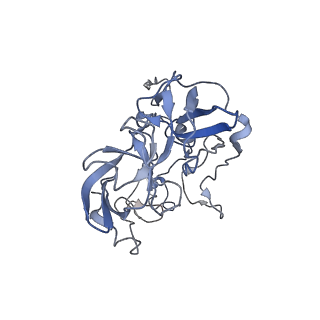 21634_6wdf_b_v2-2
Cryo-EM of elongating ribosome with EF-Tu*GTP elucidates tRNA proofreading (Cognate Structure VI-A)