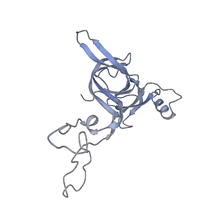 21634_6wdf_c_v2-2
Cryo-EM of elongating ribosome with EF-Tu*GTP elucidates tRNA proofreading (Cognate Structure VI-A)