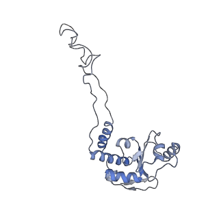 21634_6wdf_d_v1-2
Cryo-EM of elongating ribosome with EF-Tu*GTP elucidates tRNA proofreading (Cognate Structure VI-A)