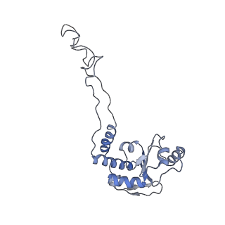 21634_6wdf_d_v2-2
Cryo-EM of elongating ribosome with EF-Tu*GTP elucidates tRNA proofreading (Cognate Structure VI-A)