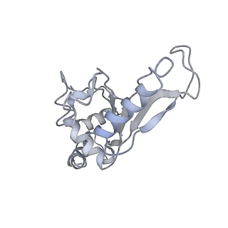 21634_6wdf_e_v1-2
Cryo-EM of elongating ribosome with EF-Tu*GTP elucidates tRNA proofreading (Cognate Structure VI-A)