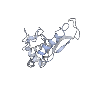 21634_6wdf_e_v2-0
Cryo-EM of elongating ribosome with EF-Tu*GTP elucidates tRNA proofreading (Cognate Structure VI-A)