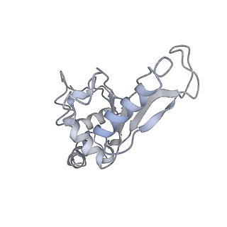 21634_6wdf_e_v2-2
Cryo-EM of elongating ribosome with EF-Tu*GTP elucidates tRNA proofreading (Cognate Structure VI-A)