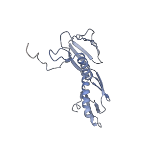 21634_6wdf_f_v1-2
Cryo-EM of elongating ribosome with EF-Tu*GTP elucidates tRNA proofreading (Cognate Structure VI-A)