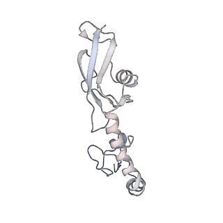 21634_6wdf_g_v1-2
Cryo-EM of elongating ribosome with EF-Tu*GTP elucidates tRNA proofreading (Cognate Structure VI-A)