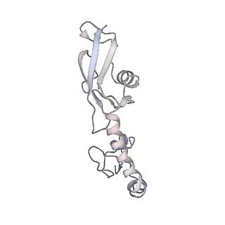 21634_6wdf_g_v2-2
Cryo-EM of elongating ribosome with EF-Tu*GTP elucidates tRNA proofreading (Cognate Structure VI-A)