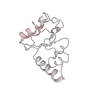 21634_6wdf_h_v1-2
Cryo-EM of elongating ribosome with EF-Tu*GTP elucidates tRNA proofreading (Cognate Structure VI-A)