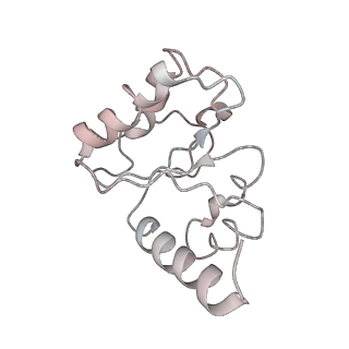 21634_6wdf_h_v2-0
Cryo-EM of elongating ribosome with EF-Tu*GTP elucidates tRNA proofreading (Cognate Structure VI-A)