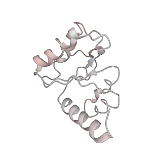 21634_6wdf_h_v2-2
Cryo-EM of elongating ribosome with EF-Tu*GTP elucidates tRNA proofreading (Cognate Structure VI-A)