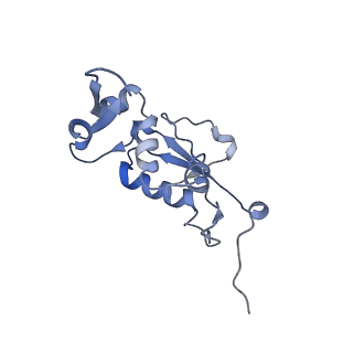 21634_6wdf_j_v1-2
Cryo-EM of elongating ribosome with EF-Tu*GTP elucidates tRNA proofreading (Cognate Structure VI-A)