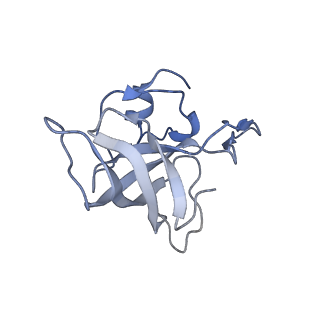 21634_6wdf_k_v1-2
Cryo-EM of elongating ribosome with EF-Tu*GTP elucidates tRNA proofreading (Cognate Structure VI-A)