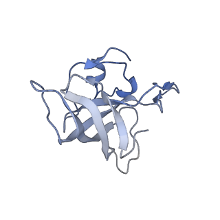 21634_6wdf_k_v2-2
Cryo-EM of elongating ribosome with EF-Tu*GTP elucidates tRNA proofreading (Cognate Structure VI-A)