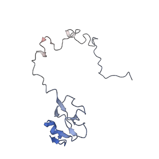 21634_6wdf_l_v1-2
Cryo-EM of elongating ribosome with EF-Tu*GTP elucidates tRNA proofreading (Cognate Structure VI-A)