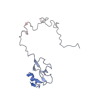 21634_6wdf_l_v2-0
Cryo-EM of elongating ribosome with EF-Tu*GTP elucidates tRNA proofreading (Cognate Structure VI-A)