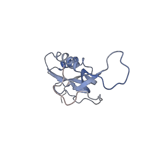 21634_6wdf_m_v1-2
Cryo-EM of elongating ribosome with EF-Tu*GTP elucidates tRNA proofreading (Cognate Structure VI-A)
