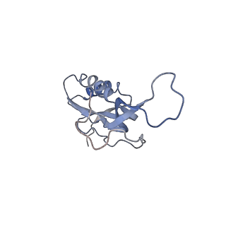 21634_6wdf_m_v2-2
Cryo-EM of elongating ribosome with EF-Tu*GTP elucidates tRNA proofreading (Cognate Structure VI-A)