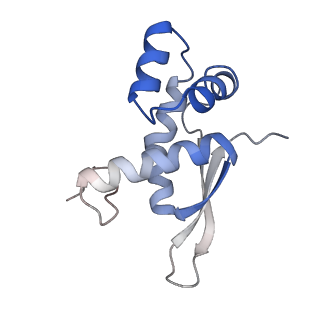 21634_6wdf_n_v1-2
Cryo-EM of elongating ribosome with EF-Tu*GTP elucidates tRNA proofreading (Cognate Structure VI-A)